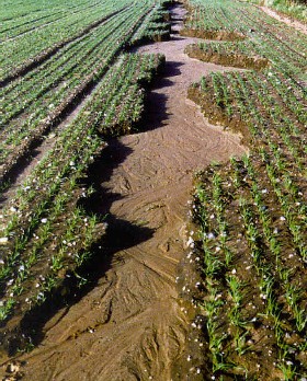 Soil Erosion